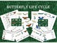 Butterfly Life Cycles and Observations