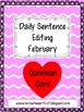 Common Core Daily Language Sentence Editing: February