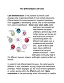 Differentiation of the Cell Common Core Activities