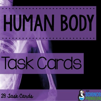 Human Body Systems Task Cards {Limited Time Freebie}