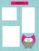 Owl Newsletter Template