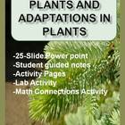 Plant Adaptations Powerpoint