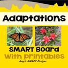 Adaptations: Plant and Animal SMART Board Lessons with printables