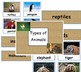 Types of Animals - Classifying - English - Sorting Animals