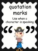 FREE Pirate Punctuation Posters