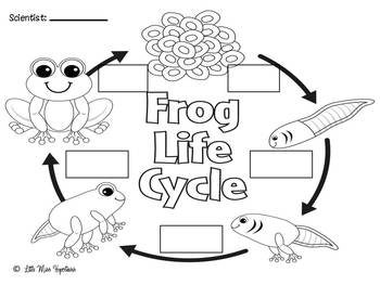 Frog Freebies!