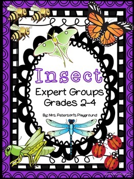 Insect: Expert Groups