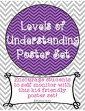 Levels of Understanding Poster Set