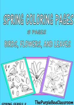 Spring Coloring Pages Series 2